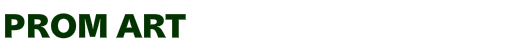 PROM-ART